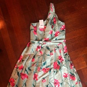 NWT Express One-Shoulder Floral Dress